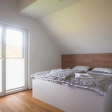 House Nizka & Apartman Recica ob Savinji