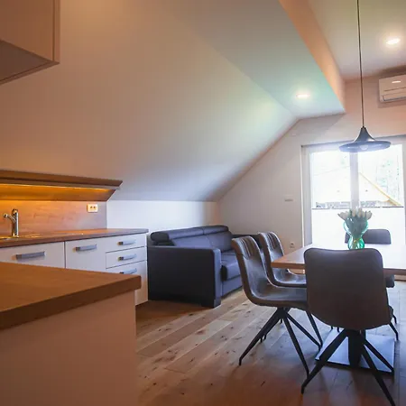 Apartman House Nizka & Recica ob Savinji
